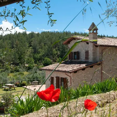 Agriturismo Molino Verde Montecchio  Exterior foto