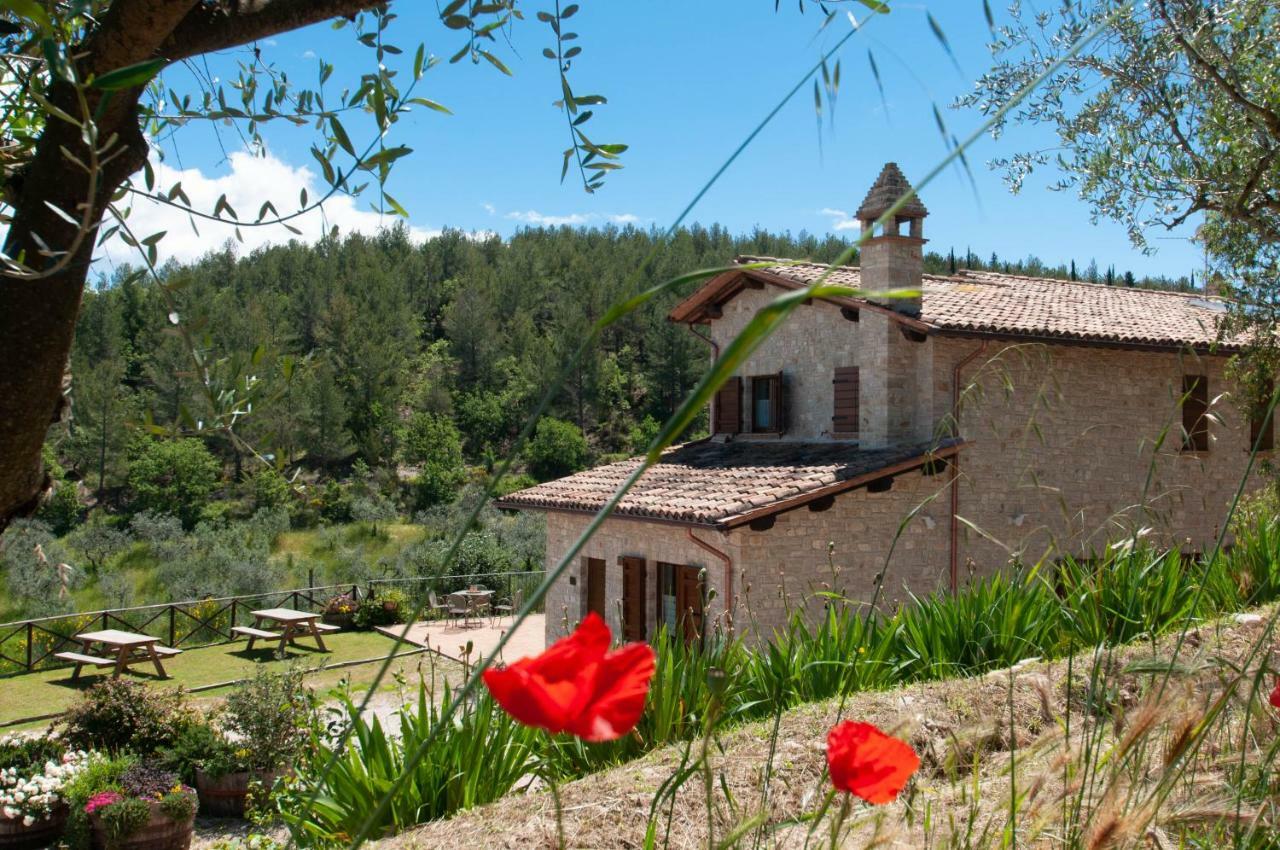 Molino Montecchio (Perugia)