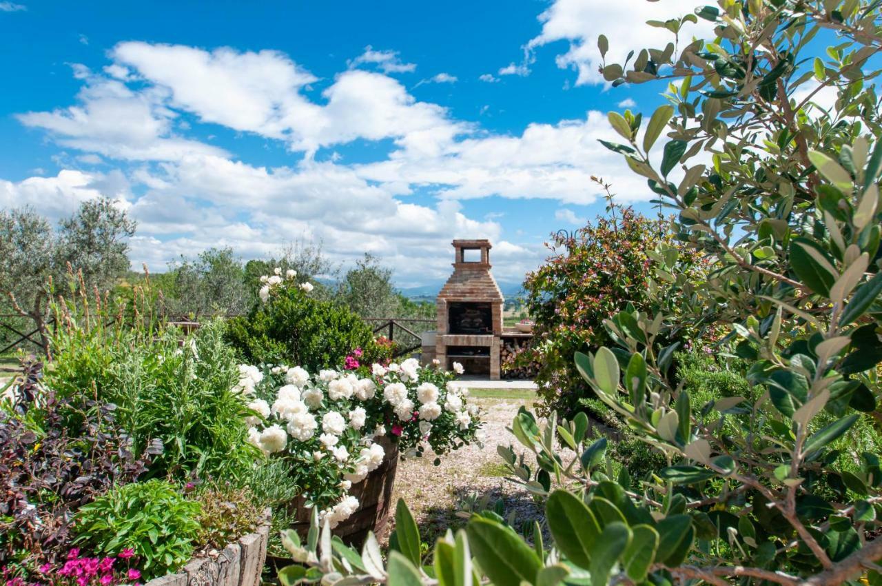 Holiday home Molino Montecchio (Perugia)
