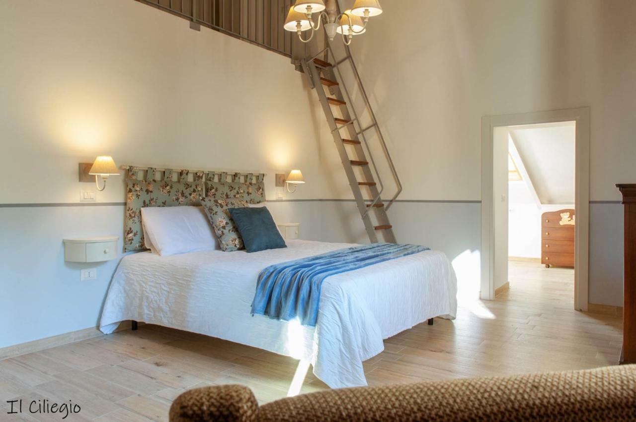 Molino Holiday home Montecchio (Perugia)