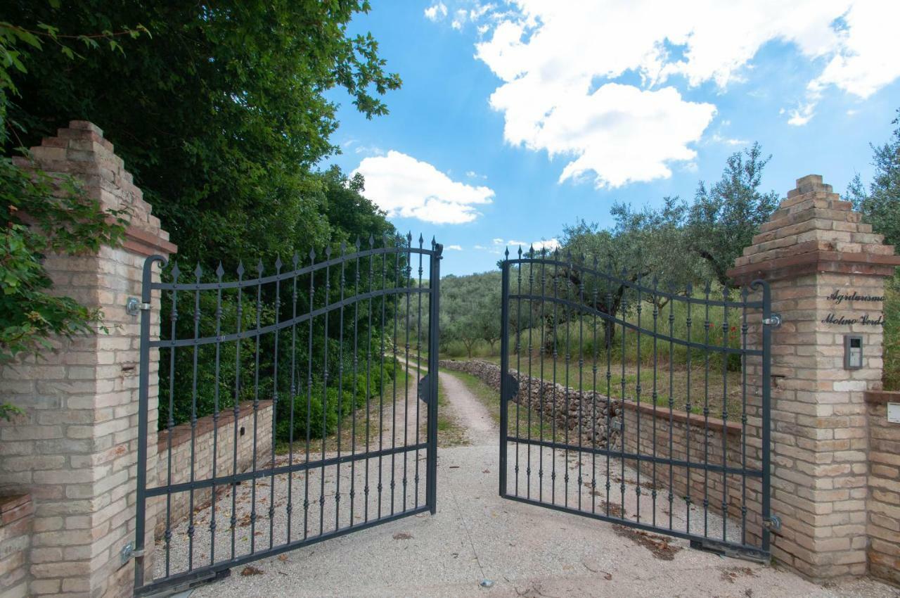 Molino * Montecchio (Perugia)