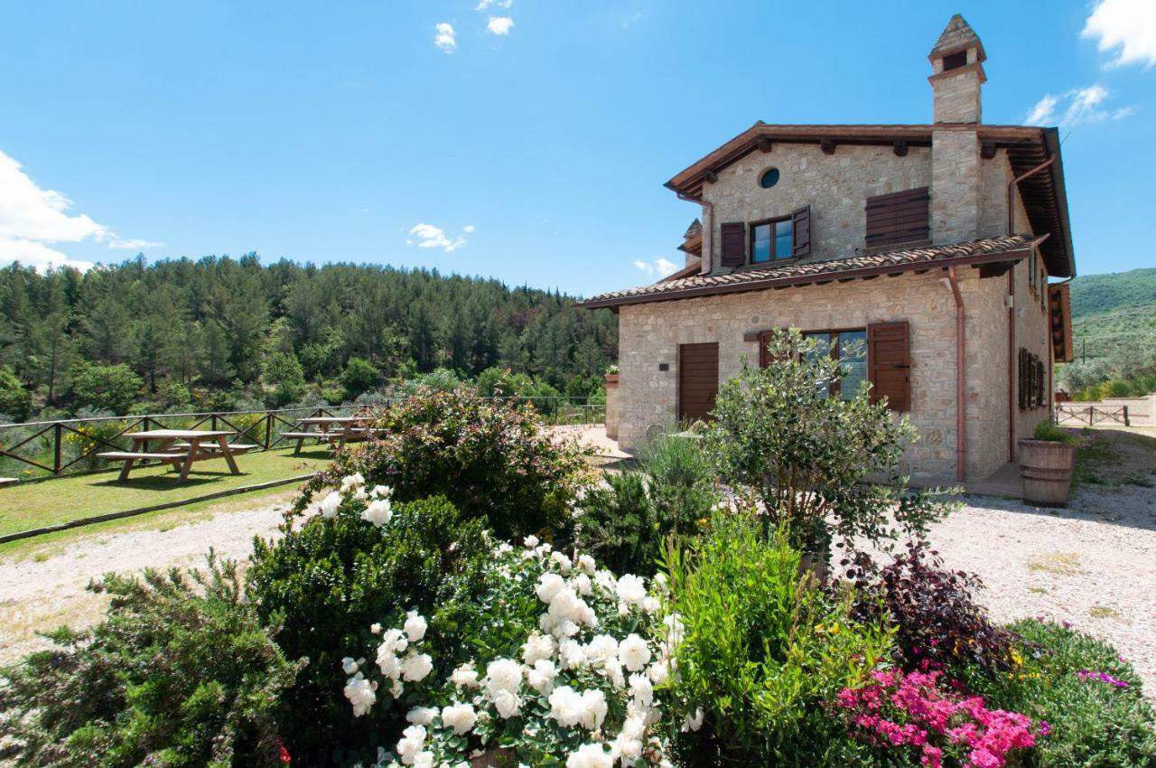 Molino Holiday home Montecchio (Perugia)